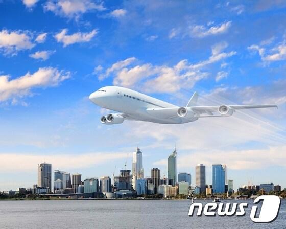 본문 이미지 - 전 세계 여행상품 비교 사이트인 '스카이스캐너'는 반려동물과 장거리 해외여행시 운임은 평균 19만원으로 나타났다고 20일 발표했다.(자료사진)ⓒ News1