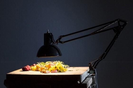 본문 이미지 - ⓒ News1