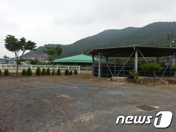 본문 이미지 - 밀양시 하남읍 인근의 승마장(제보자 제공)ⓒ News1