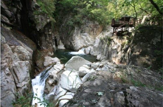 본문 이미지 - 가야산 홍류동계곡. (국립공원관리공단 제공) ⓒ News1