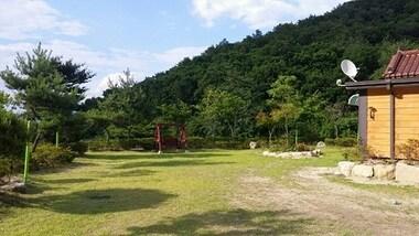 본문 이미지 - ⓒ News1