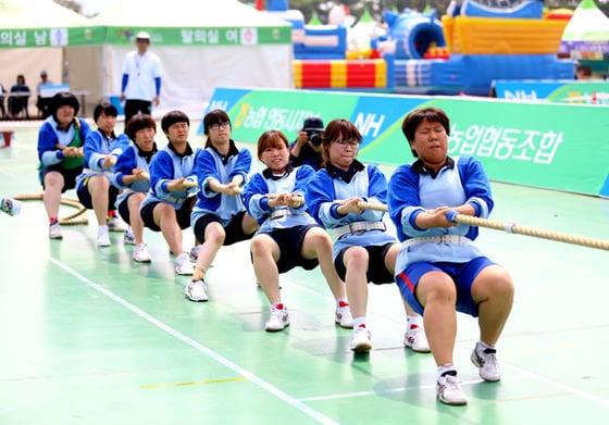 본문 이미지 - 각종 생활체육대회들이 8~9월 전국 각지에서 열린다. (국민생활체육회 제공) ⓒ News1