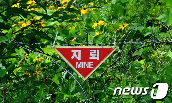 본문 이미지 - 뉴스 DB.