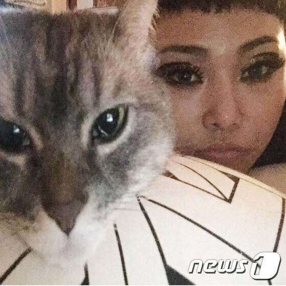 본문 이미지 - (사진 20PICK '아임 캣맘' 캡처)ⓒ News1