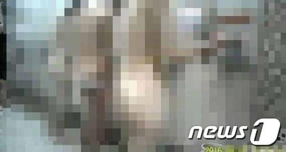 본문 이미지 - 해당 동영상을 캡처한 사진. /사진=온라인 커뮤니티  ⓒ News1