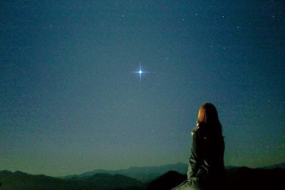 본문 이미지 - (사진=네이버)