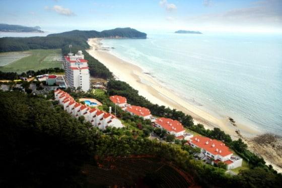 본문 이미지 - ⓒ News1