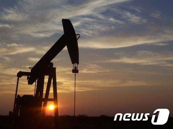 본문 이미지 - ⓒ AFP=News1