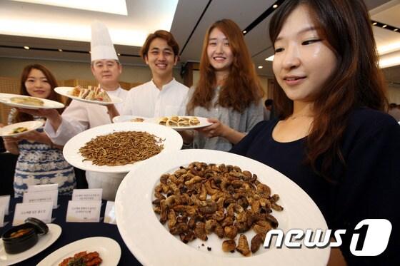 본문 이미지 - 식용곤충 소비 확대를 위한 발전 방안을 찾기 위해 서울 소공동 롯데호텔에서 열린 '식용곤충 조리적용 전문가 워크숍'에서 관계자들이 고소애, 꽃벵이 등 식용곤충으로 조리한 음식을 선보이고 있다. ⓒ News1 이광호 기자