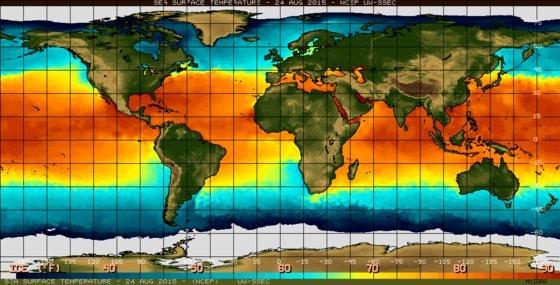 본문 이미지 - 전 세계 해수면 온도(2015.8.24)/출처-미국 국립해양대기청(<strong class="hl">NOAA</strong>)  