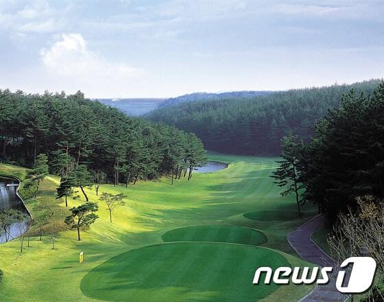 본문 이미지 - 국내 한 골프장 전경(사진은 기사와 관련 없음). ⓒ News1