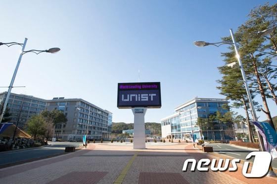 본문 이미지 - UNIST 전경. ⓒ News1