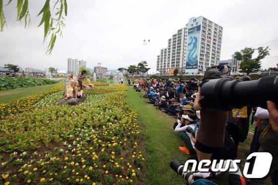 본문 이미지 - (전남 장흥군 제공)2015.8.4.ⓒ News1