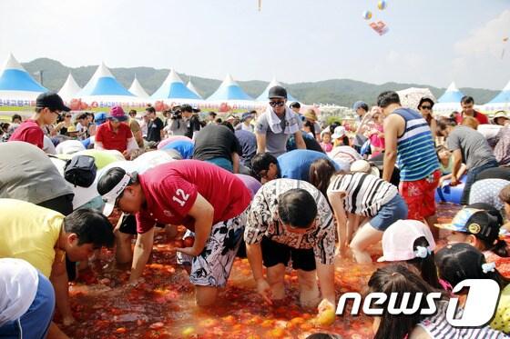 본문 이미지 - 횡성 둔내고랭지토마토축제(자료사진)ⓒ News1 DB