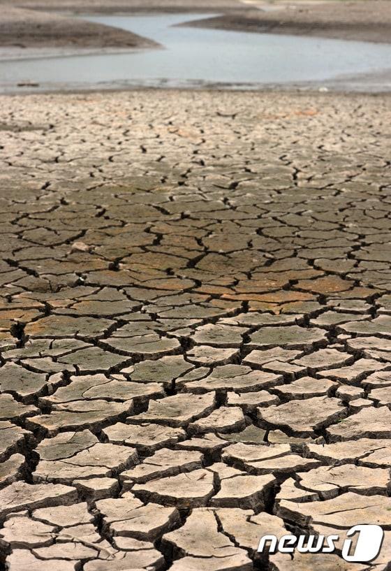본문 이미지 - 20년만에 찾아온 최악의 엘니뇨로 극심한 가뭄피해를 입은 온두라스. ⓒ AFP=뉴스1