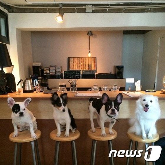 본문 이미지 - ⓒ News1