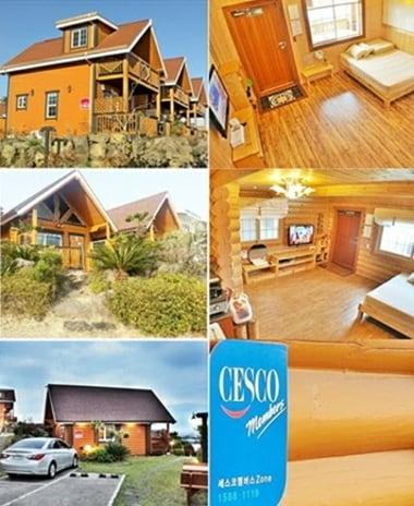 본문 이미지 - ⓒ News1