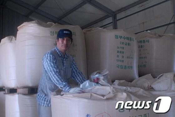 본문 이미지 - 전북 고창 더불어사는농장 김복성 대표가 정부가 수매할 종자를 살펴보고 있다. ⓒ News1
