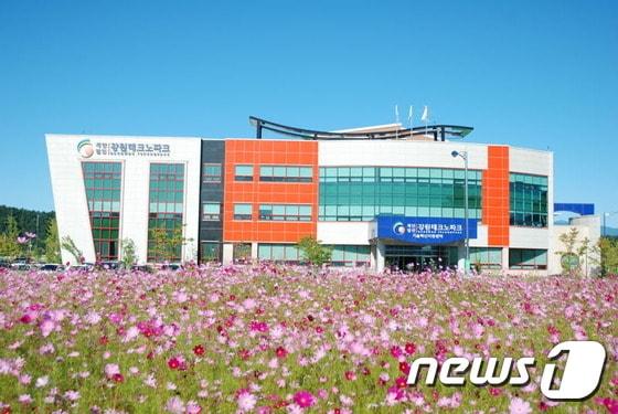 본문 이미지 - 강원테크노파크 전경 ⓒ News1 정진욱 기자