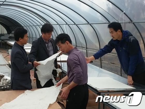 본문 이미지 - 안동한지/뉴스1 자료 ⓒ News1