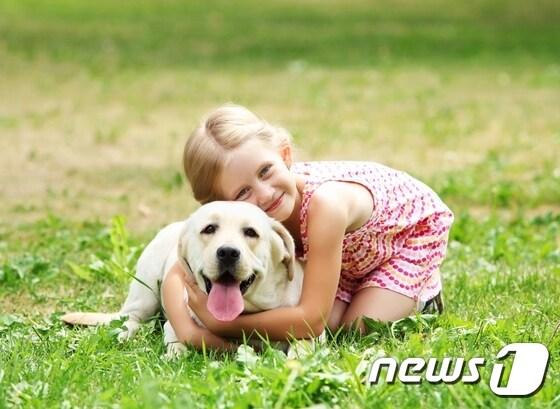 본문 이미지 - 영국 텔래그래프 등 외신들은 13일(현지시간) 개들이 주인의 표정과 목소리 같은 정보들을 결합해 주인들의 감정을 인지한다는 연구 결과를 영국 링컨대와 브라질 상파울루대 공동 연구팀이 발표했다고 보도했다.(자료사진)ⓒ News1