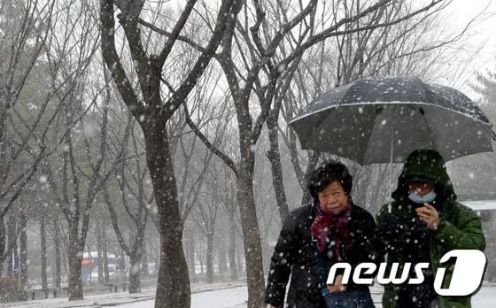 본문 이미지 - 매서운 한파로 인해 눈보라가 휘날리는 가운데 대전 시민들이 걸어가고 있다. /뉴스1 ⓒ News1