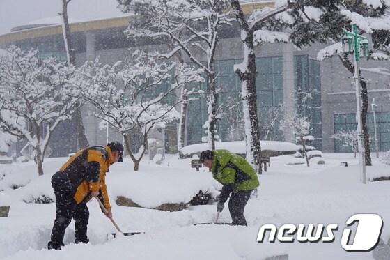 본문 이미지 - 24일 오후 3시 현재 35cm 눈이 내린 고창읍내. 모양성 일대에서 고창군청 공무원들이 제설작업을 하고있다. ⓒ News1 박제철 기자
