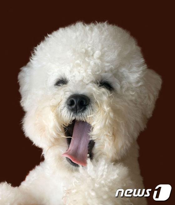 본문 이미지 - (사진 이미지투데이) ⓒ News1