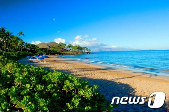 본문 이미지 - 일몰의 경치가 빼어난 한적한 해변에 자리한 마케나 비치 ＆ 골프 리조트 마우이 섬 남쪽 할레아칼라 산을 등지고 와일레아 지역 남서쪽 해안에 있는 마케나 비치 ＆ 골프 리조트. (허니문리조트 제공) ⓒ News1 travel