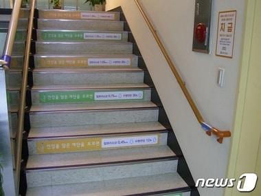 본문 이미지 - ⓒ News1