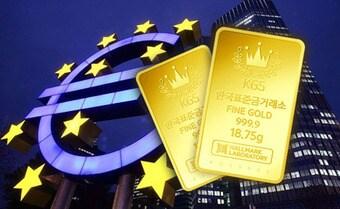 본문 이미지 - ⓒ News1