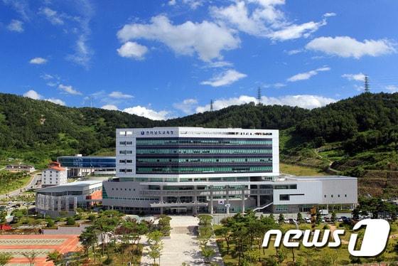 본문 이미지 - 전남도교육청 ⓒ News1