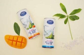 본문 이미지 - ⓒ News1