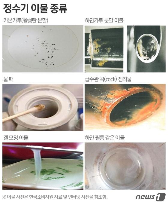 본문 이미지 - ⓒ News1 이은주 디자이너