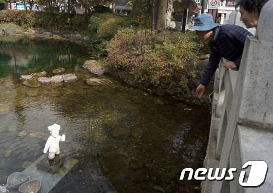 본문 이미지 - 18일 태백시티투어 참가자들이 낙동강 발원지 강원 태백 황지연못을 방문해 소망을 담아 동전을 던지고 있다. 2016.10.18/뉴스1 ⓒ News1 하중천 기자