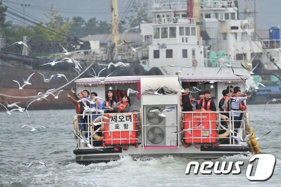 본문 이미지 - 포항운하 관광에 나선 관광객들이 크루즈선으로 몰려드는 갈매기들에게 과자를 던져주고 있다.(뉴스1 자료) ⓒ News1 최창호 기자