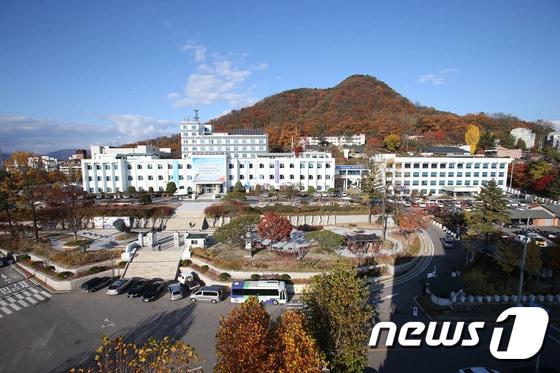 본문 이미지 - 강원도청의 가을.&#40;뉴스1 DB&#41;