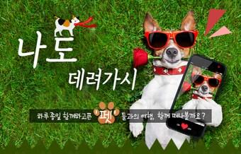 본문 이미지 - ⓒ News1