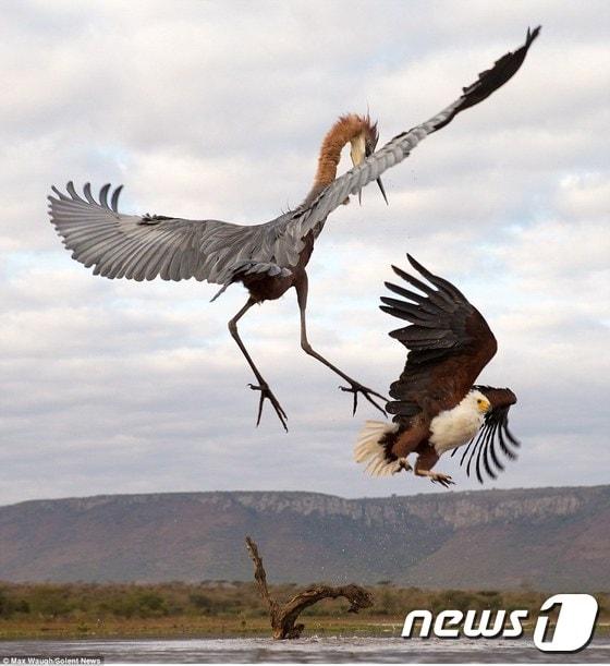 본문 이미지 - ⓒ News1