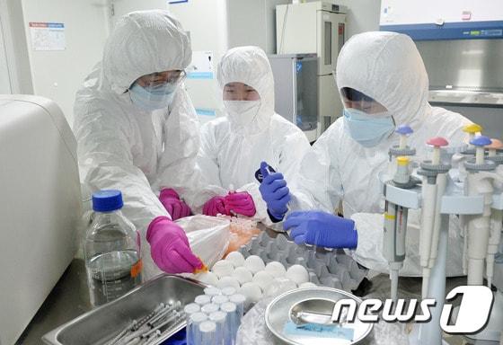 본문 이미지 - 생물안전실험실(BL3)에서 연구진들이 연구를 하고 있는 모습. /뉴스1 ⓒ News1 이재명 기자