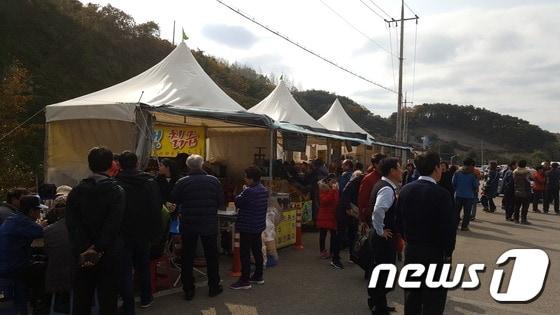 본문 이미지 - 제천 청풍문화재단지 주차장에서 불법 영업이 계속되고 있으나 제천시가  철거 등의 조치를 취하지 않고 있다.ⓒ News1