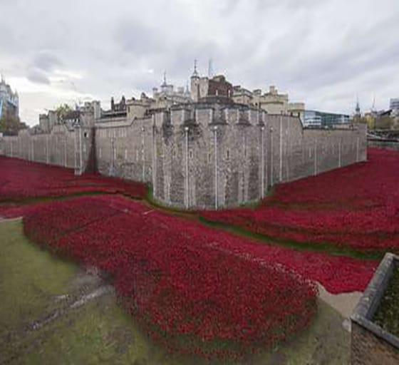 본문 이미지 - 지난 2014년 ‘1차 세계 대전 발발 100주년’을 맞이해 런던타워 주위는 88만8246개의 빨간 세라믹 양귀비로 뒤덮였다.ⓒ AFP=뉴스1