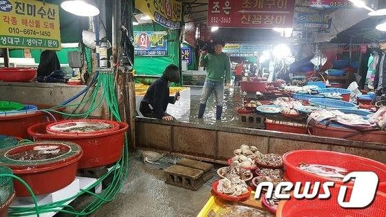 본문 이미지 - 수산물시장 자료사진&#40;사진은 기사 내용과 무관함&#41; / 뉴스1 ⓒ News1