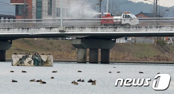 본문 이미지 - 경기도내 도내 주요 49개 하천의 79.7%가 ‘좋은물(1~2등급)’로 평가됐다. 사진은  지난 2016년 11월 21일 안성천 부근의 모습. 2016.11.21/뉴스1 ⓒ News1 이재명 기자