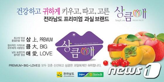 본문 이미지 - 전남산 과일 공동브랜드로 '상큼애(愛)'.ⓒ News1