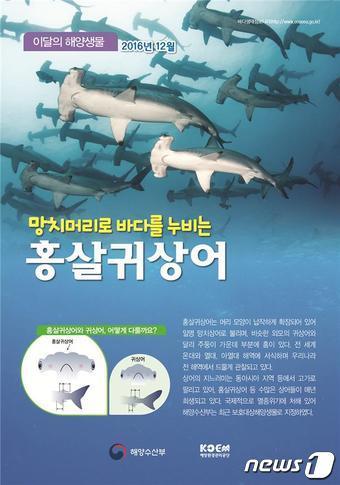 본문 이미지 - 자료=해양수산부ⓒ News1