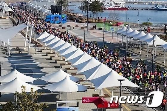 본문 이미지 - 지난해 여수마라톤대회 모습.(여수시 제공)2016.11.6/뉴스1 ⓒ News1 서순규 기자