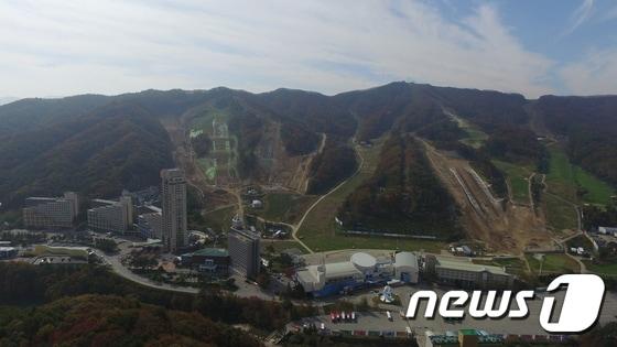 본문 이미지 - 보광스노경기장 (보광 휘닉스파크 제공)ⓒ News1 신효재 기자