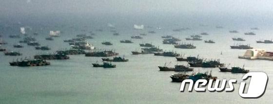 본문 이미지 - 풍랑주의보를 피해 경북 울릉군 연안에서 피항 중인 중국 오징어 선단 모습 (뉴스1자료)ⓒ News1 최창호 기자