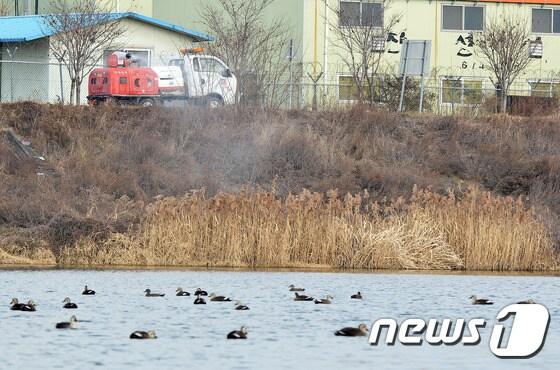 본문 이미지 - 안성천 야생조류 분변 시료에서 다른 형태의 고병원성 조류인플루엔자(AI)가 검출된 19일 오후 경기도 안성시 안성천 인근에서 가축방역 위기대응팀 관계자들이 방역을 하고 있다.  2016.12.19/뉴스1 ⓒ News1 이재명 기자